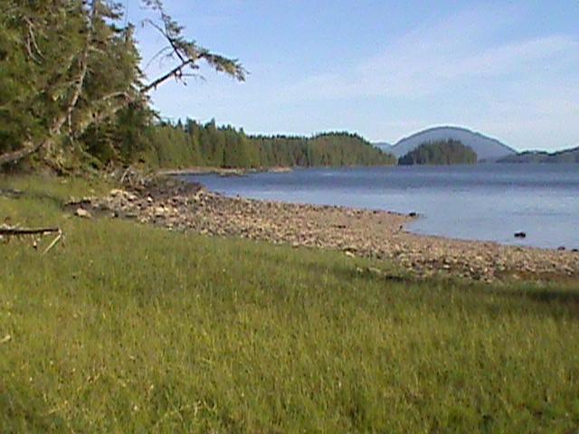 Block 1 Lot 11, Wrangell, Alaska 99929, ,Land,Remote,Block 1 Lot 11,1210