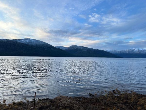 Lot 6a Zimovia Hwy, Wrangell, Alaska 99929, ,Land,Lots and Land,Zimovia Hwy,1213