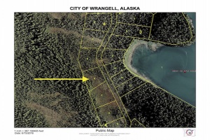 Wrangell island east,Wrangell,Alaska 99929,Land,Wrangell island east,1026